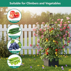 2 Pack Raised Garden Bed Planter Box with Trellis, 58”Tomato Planter with Trellis for Climbing Plants Vegetables Vine Flowers, Self-Watering Tomato Cage for Garden Patio Outdoor & Indoor