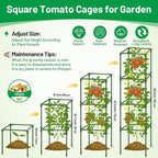 Legigo 4 Pack Square Tomato Cages- 60 Inch Heavy Duty Tomato Trellis for Climbing Plants Outdoor, Tomato Plant Support Stakes Cage Garden Trellis for Garden Raised Garden Bed Cucumbers Vegetables