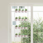 Sumerflos 4 Tier Acrylic Window Boxes Plant Shelves for Windows, Hanging Shelves for Indoor Plants, Flower Pot Organizer Storage for Window Grow Herbs, Microgreens, Succulents, Flower