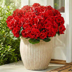 CEWOR 12 Bundles Artificial Geranium Flowers for Outdoor Indoor, Fake Silk Geranium Red Flowers, Faux Flower for Valentine's Day Decor Garden Front Door Porch Planter Patio Home Decor