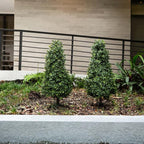 Nearly Natural 3ft UV Resistant Artificial Boxwood Plants, Set of 2, with Integrated Ground Stakes for Indoor Outdoor and Garden Decor