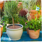BESPORTBLE 3sets Plant Pot Grid Pot Protectors for Garden Balcony Cat Dog Deterrent Easy to Use Plant for Use