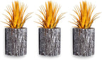 Air Plants - Tillandsia Ionantha - Organically Enhanced Color - Live Arrival Guaranteed - House Plants for Home Decor & Gift (3pk Marigold + White Barrels)
