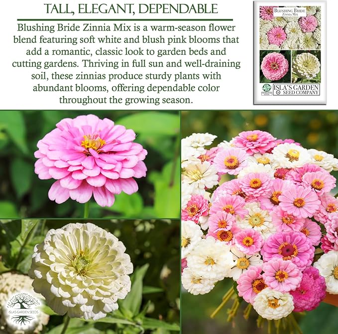 Blushing Bride Mix Zinnia Seeds (Zinnia elegans) – 200+ Heirloom Non-GMO Seeds by Isla’s Garden Seeds, Soft White & Pink Blooms, Elegant Cut Flowers, Long Blooming, Garden Gift Idea