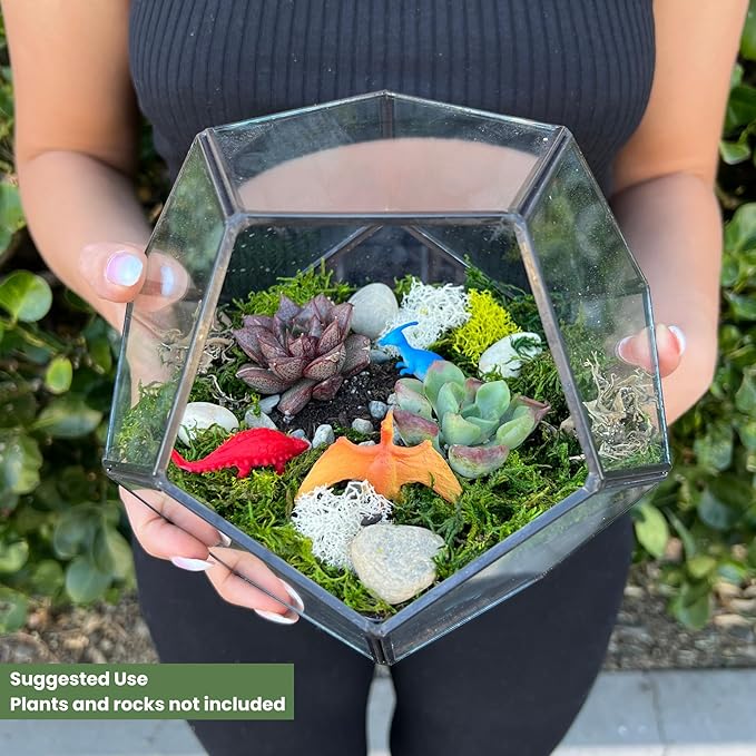 Cute Farms Glass Terrarium Kit | Just Add Your Own Plants (Geometric Glass)