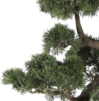 Nearly Natural 4100 Cedar Bonsai Tree, 36-Inch, Green