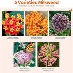 Groundio Milkweed Seeds for Planting, Attract Monarch Butterflies & Pollinators, 5 Individual Packs Flower Seeds -Tropical, Butterfly, Common, Showy, Pink Swamp, Non-GMO Perennial Wildflower Seeds