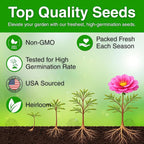 24500+ Moss Rose Seeds, Pack for 2026 USA Premium Non-GMO Flower Seeds Annual Flower for Ground Cover - Heat & Drought Tolerant Moss-Rose Purslane, Eleven O'clock