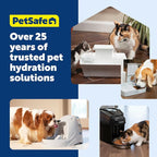 PetSafe Seaside Stainless Cat & Dog Fountain - Carbon and Foam Filters & 1 Pump Included, Tower Creates Soothing Flow for Pets, Scratch-and Rust-Resistant Material Inhibits Pet Acne, 60 Oz