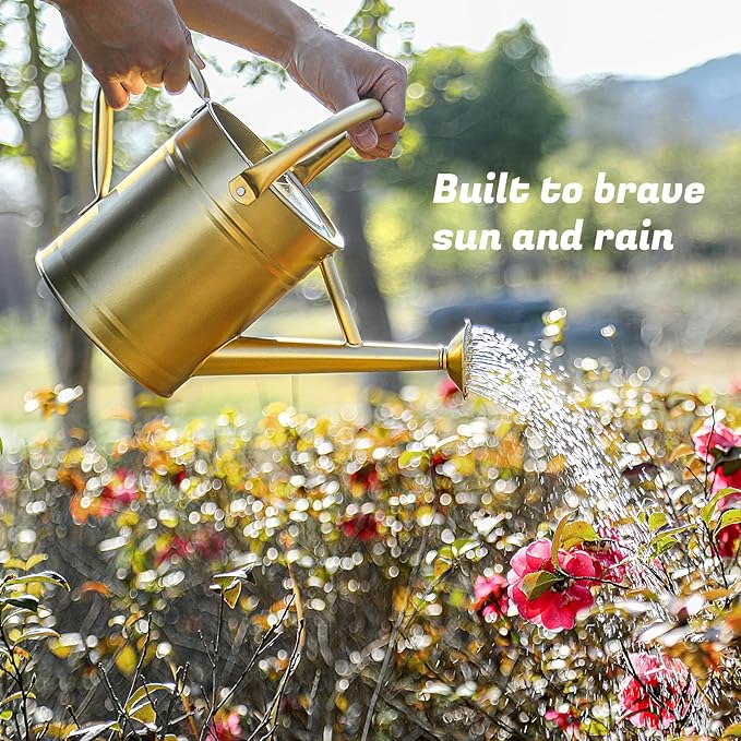 1 Gallon Watering Can for Plants, Watering Cans for Indoor&Outdoor Gardening, Galvanized Steel Watering Pot with Removable Spout, Metal Water Can with Ergonomic Movable Handle(Gold)