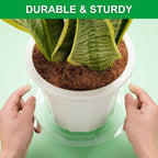 CATIFLIN 24 Pack Clear Plant Saucers - 8, 10, 12 Inch Plastic Plant Trays for Pots, Flower Pot Saucers, Indoor & Outdoor Planter Drip Tray for Water Drainage & Protection