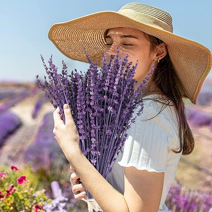 Dried Preserved Lavender Flowers Bundle-Natural Dried Lavender Bouquet 180-200 Stems 15''-17" for Wedding Home Shower Vase Decor, Aromatherapy, Fragrance, Fresh, Dry, 2 Packs