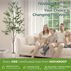 Olive Tree, 6FT Tall Faux Olive Tree with Moss and Planter, Olive Trees Artificial Indoor with Realistic Wood Trunk and Lifelike Fruits, Fake Olive Tree for Home Office Living Room Decor