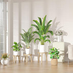5-Pack Wood Plant Stands Indoor, Single Plant Stand for 6-12 Inch Pots, Mid-Century Modern Plant Stool, Tall Plant Stand for Large Plants for Living Room, Balcony, Office (Light Brown)
