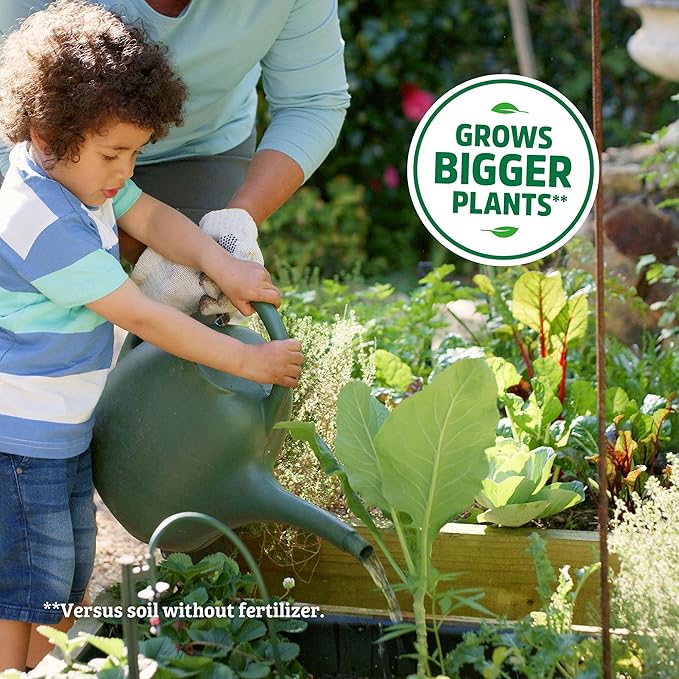 Back to The Roots Organic All-Purpose Plant Food (5 lb. Value Size), Premium Blend, Safe & Sustainable Vegan Formulation Made with Kelp and Alfaalfa Meal, Mycorrhize, and Rock Phosphate Minerals