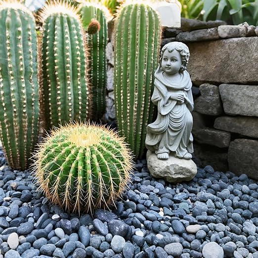 River Rocks, 20lbs Aquarium Rocks, 2-3 Inch Black Pebbles for Indoor Plants, Natural Stones for Landscaping Garden Paving Plant Rocks Crafting Walkways
