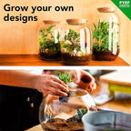 DIY Terrarium Kit for Plants – Build a Self‑Sustaining Closed Ecosystem – Supplies for Up to 68 oz (1‑2 Liter) – Succulents, Air Plants (Tillandsia), Fern – Jar Not Included