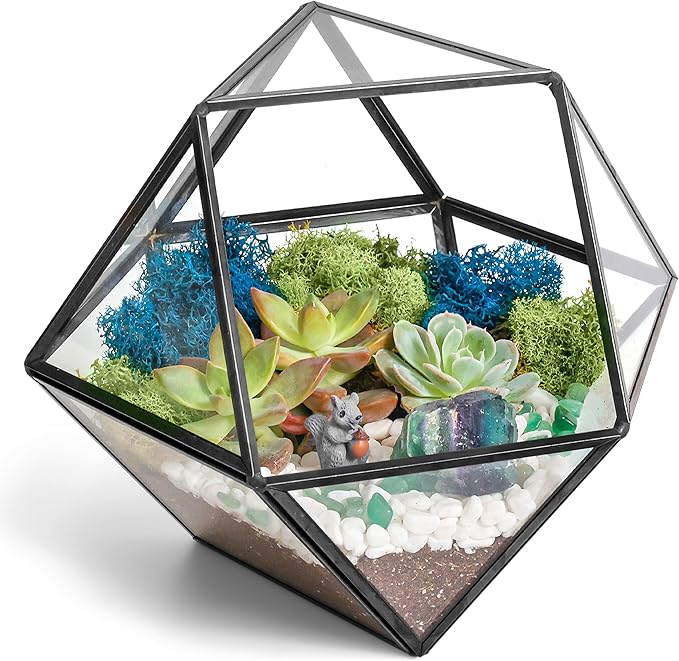 Creations by Nathalie DIY 7" Geometric Terrarium Kit - Build Your Own Glass Terrarium for Adults & Teens with Moss, Crystals, Tools & Decor - Handcrafted in the USA (Live Plant Included)