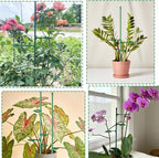 20 Set Plant Stakes 12 inch Extendable Plant Support Stakes with Adjustable Rings, Flowers Stems Plants Sticks for Indoor Outdoor Plants Stabilizer Support Sticks for Orchid Rose Peony Tomato