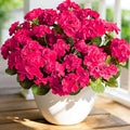 Fake Outdoor Flowers, 4 Pcs Artificial Flowers For Outdoors, Rose Red Artificial Geraniums Plastic Flowers, Fake Plant For Outside, Silk Faux Flowers For Outdoor Planters UV Resistant For Front Porch