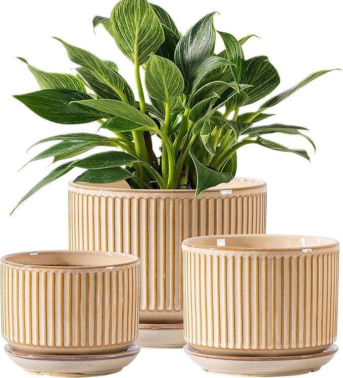 Beige Ceramic Planter Set of 3, 4.3+5.5+6.7 Inch Indoor Plant Pots with Drainage Hole, Saucer & Mesh Pads, Ceramic Striped Decorative Plant Pots for Garden Pots, Outdoor and Indoors Planters