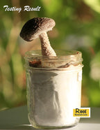 Root Mushroom Farm- Mushroom Liquid Cultures/Shiitake(lentinula edodes)