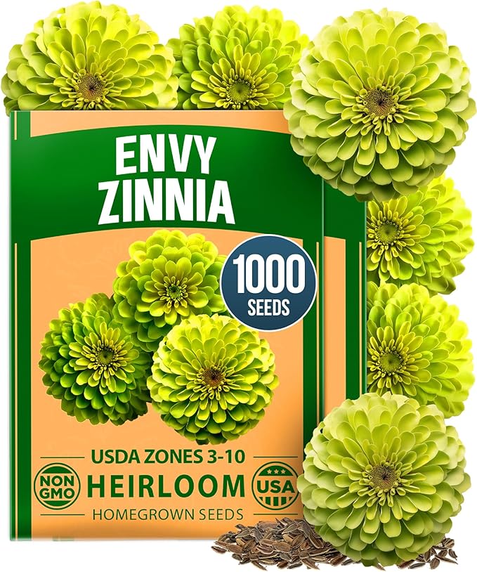 HOME GROWN Envy Zinnia Seeds (1g) – 1000 Rare Lime Green Annual Zinnia Flower Seeds for Planting, Fast-Growing Heat-Loving Variety, Premium Herb Seeds Garden Companion for 2026 Blooms (Zinnia elegans)