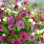 Ammyoo Artificial Flowers for Outdoors Spring Decoration, 12 Bundles Fake Flower Daisy with Realistic Eucalyptus Leaves, Faux Plants for Greenery Boxwood Porch Patio Garden Pot Lawn
