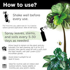 Big Leaf Energy (16 FL OZ, Glass) Organic Neem Oil Plant Spray with Essential Oils : Natural Plant Wash for Indoor Houseplants and Outdoor Gardens