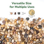 GreatBuddy 5-lb Decorative Rocks for Plants, 1/5" Pea Gravel for Fish Tanks, Aquariums, Terrarium, Drainage Pebbles for Potted Plants, Succulents, Garden Landscaping, Crafts, Indoor&Outdoor