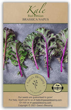 Gaea's Blessing Seeds - Kale Seeds - Red Russian - Non-GMO Seeds with Easy to Follow Planting Instructions - Open Pollinated - Untreated - 94% Germination Rate