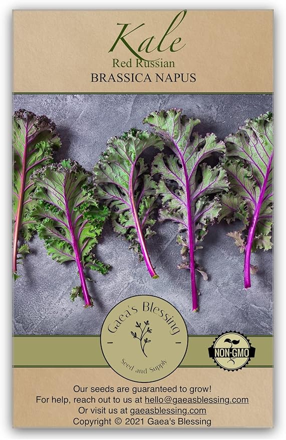 Gaea's Blessing Seeds - Kale Seeds - Red Russian - Non-GMO Seeds with Easy to Follow Planting Instructions - Open Pollinated - Untreated - 94% Germination Rate
