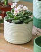 Fayoula Self Watering Pots for Indoor Plants, 6 Inch Ceramic Self Watering Plant Pot, Planter Pot with Wick Rope and Drainage Hole for African Violet Succulent Herbs (White Matte)