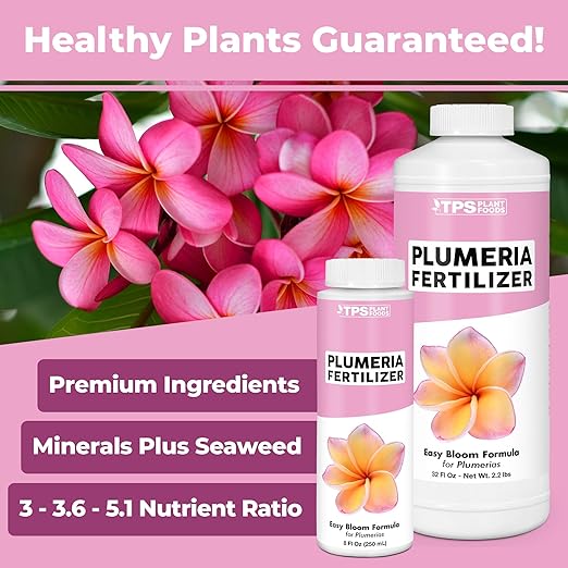 Plumeria Fertilizer – Liquid Plant Food for More Blooms, Healthy Tropical Growth & Stronger Root Development, 32 oz
