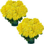 QIANYUN Artificial Topiary for Outdoors -20” Potted Plant Fake Hydrangea Bush-UV Resistant Artificial Outdoor Plants for Front Porch, Garden, Yard, Patio Decor (Yellow)