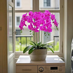 Htmeing 38 Inch Artificial Phalaenopsis Flowers Branches Real Touch (Not Silk) Orchids Flowers for Home Office Wedding Decoration,Pack of 2 (Rose red)