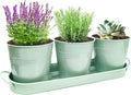 TCBWFY Indoor Herb Garden Planter Set - 3 Pack 4.7" Green Metal Plant Pots with Drainage Holes & Removable Tray - Windowsill Kitchen Counter Balcony Office Garden