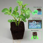 80Pcs Hydroponic Grow Sponges and 40Pcs Grow Baskets for Hydroponics Growing System，Ideal for NFT Systems，Seedling Starter Kit for Soilless Cultivation