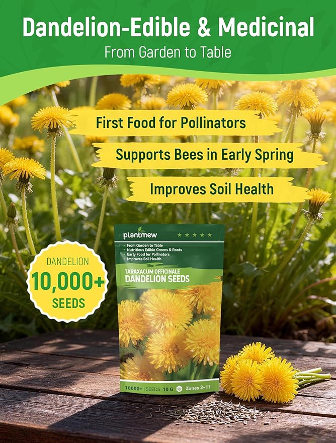 Dandelion Seeds for Planting - 4,000+ Heirloom Dandelion Herb Seeds (Taraxacum officinale), Edible Leaves Flowers Roots, Medicinal Garden, Pollinator-Friendly