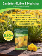 Dandelion Seeds for Planting - 4,000+ Heirloom Dandelion Herb Seeds (Taraxacum officinale), Edible Leaves Flowers Roots, Medicinal Garden, Pollinator-Friendly