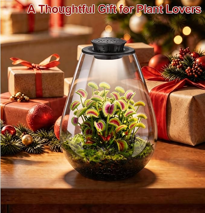 Glass Plant Terrarium with LED Grow Light, 7.8" Borosilicate Terrarium with Adjustable Ventilation & Timer, for Venus Fly Trap, Moss, Succulents, Mini Landscape, Desk Decor for Home Office