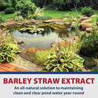 The Pond Guy Barley Extract Natural Liquid Treatment for Ponds and Water Gardens, Safe for Koi Fish and Plants, Natural Solutions for Clear Pond Water - 1 Gallon