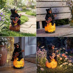 PETAFLOP Solar Garden Statues Bear Decor, Bear Figurines with Glowing Honey Jar for Patio Balcony Lawn Yard Decorations, Outdoor Birthday Housewarming Gifts for Women, Mom