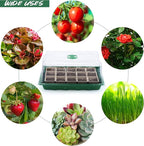 Hahood 4 Pack Seed Starter Tray Set Plants Growing Trays Peat Pots for Seedlings with Seed Starter Pots, Plastic Germination Tray, Plant Labels, Tool for Flower Vegetable Planting, Green