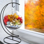 Creations by Nathalie DIY 5" DIY Globe Terrarium Kit - Build Your Own Glass Terrarium for Adults & Teens with Moss, Crystals, Tools & Decorative Figurine - Mini Ecosystem (Plant Not Included)