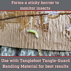 Tanglefoot Tree Care Kit – Sticky Tree Wrap & Applicator | Non-Toxic Outdoor Barrier for Crawling Insects | Includes 15oz Tree Tanglefoot, 3" x50' Tree Wrap & Applicator Tool