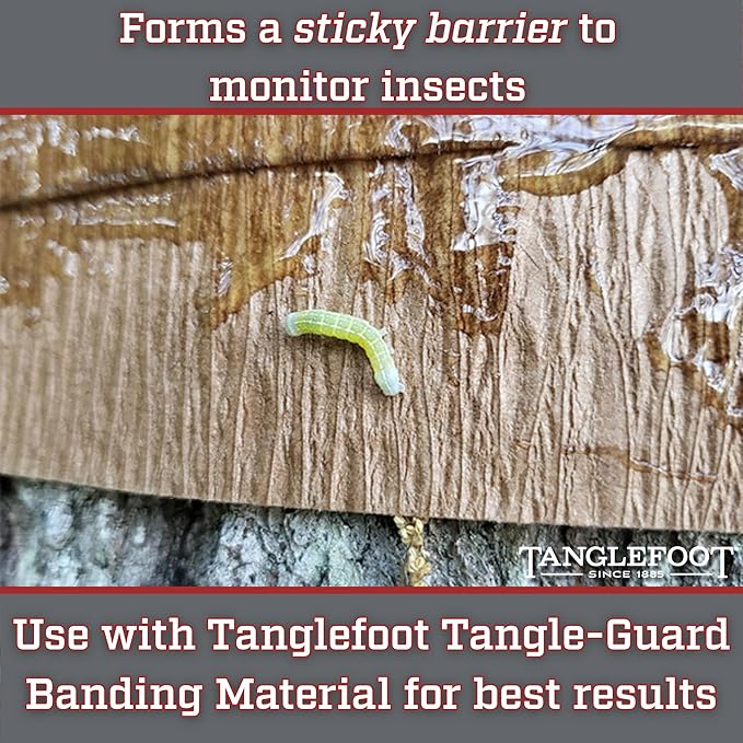 Tanglefoot Tree Care Kit – Sticky Tree Wrap & Applicator | Non-Toxic Outdoor Barrier for Crawling Insects | Includes 15oz Tree Tanglefoot, 3" x50' Tree Wrap & Applicator Tool