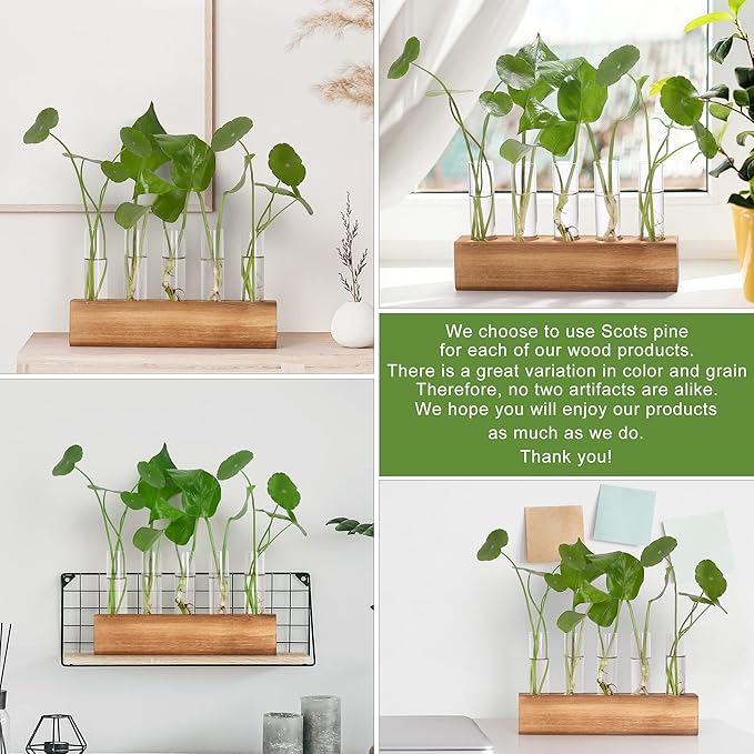 YIBOT Propagation Stations, Plant Terrarium with Wooden Stand, 5 Glass Test Tubes Vases, Birthday Gardening Gifts for Women Mom Plant Lovers, Home Office Desk Decor