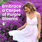 20000+pcs Creeping Thyme Seeds for Planting, Perennial Ground Cover Plants Heirloom Flowers Seeds Fragrant Herb Seeds for Lawns & Paths Garden