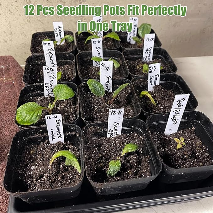 mwellewm 5 Pcs Seed Starter Tray, 3.5 Inch (9CM) 60 Pcs Nursery Pots Kit, Thickened Seed Starting Trays Square Seedling Pots for Plants Sturdy Microgreens Growing Trays Reusable Germination Tray